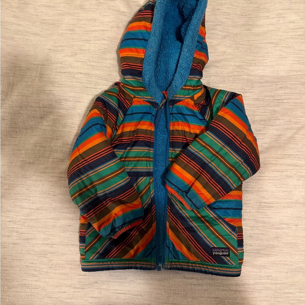 Patagonia Multicolor Striped Jacket with Blue Lining